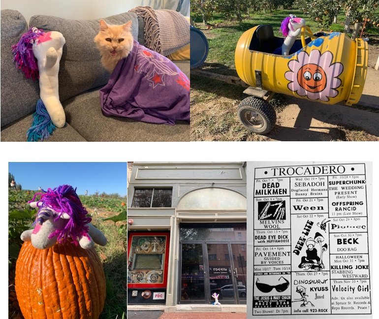 Bowiecorn experiences Fall in Philadelphia! bowiecorn5usev2.jpg